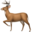 deerflow-b3as4p.png